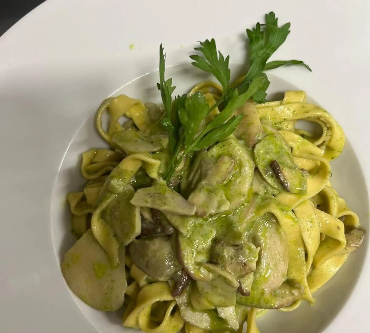 Albergo Ristorante Plaza Tornolo