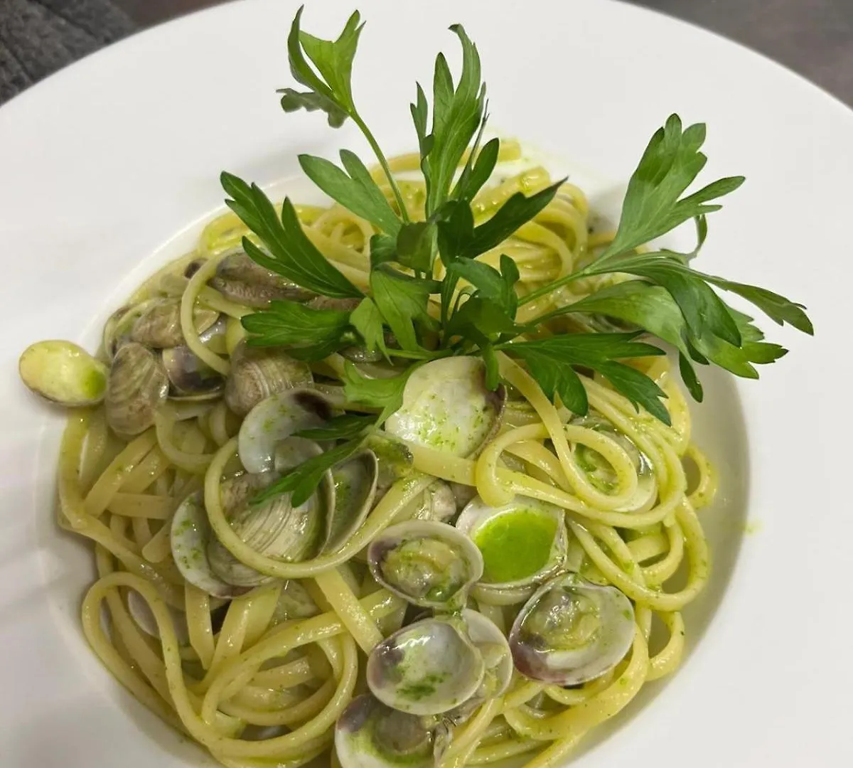 Hotel Albergo Ristorante Plaza Tornolo